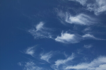 Obraz premium 夏空