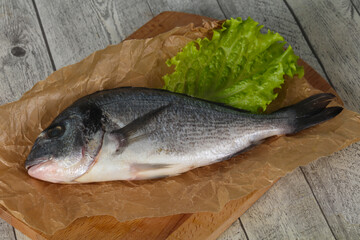 Raw Dorada fish  for cooking