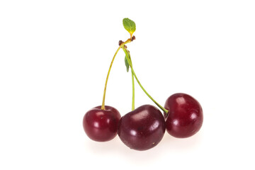 Sweet ripe cherry with leaves