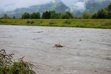 Rheinhochwasser in Liechtenstein und der Schweiz am 30.8.2020