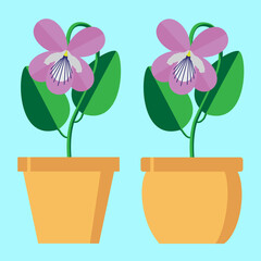 Violet flower, pansies with leaves. Vector illustration isolated on a stylish colored background. It can be used as a decorative element on a website or banners, as a greeting or invitation card.