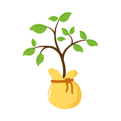 flower growth plant in bag flat style icon