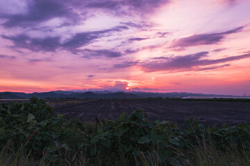 Hermoso atardecer, campos de siembra, paisajes México.