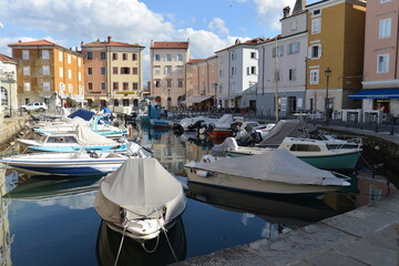 Muggia