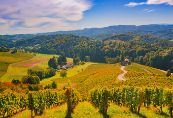 Obraz premium Famous Wine Road in the shape of a heart, a charming region on the border between Austria and Slovenia with green rolling hills, vineyards, picturesque villages and wine taverns
