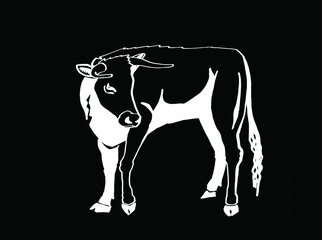 Graphical illustration of ox on black background,vector mammal animal