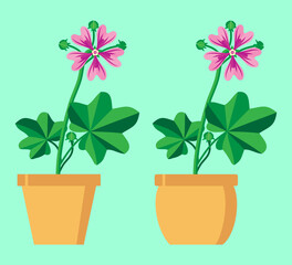 Malva sylvestris on a colored background. Vector illustration. It can be used as a decorative element on a website or banners, as a greeting or invitation card, and in many other projects.