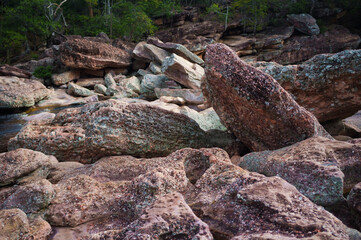 rocks in the forest