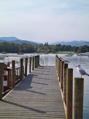 Naklejka premium Pier in Scotland with Seagull