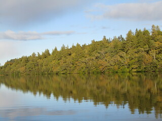 Fototapeta na wymiar Reflections of autumn treeline on Scottish Loch Ness
