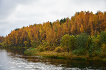 Autumn scenery. Karelia, Russia
