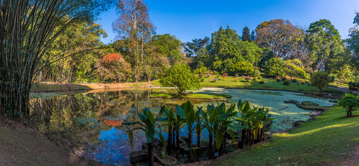 Reflections in a secluded lake in the Botanical gardens at Peradeniya, Kandy, Sri Lanka, Asia