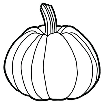 Vector illustration. Coloring page. Hand drawing pumpkin. Outline drawing. Isolated on white drawing