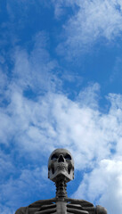 Halloween Skeleton and Blue Sky (Vertical)