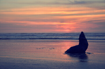 Obraz premium sunset on the sea