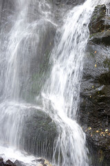 Fototapeta premium 滝