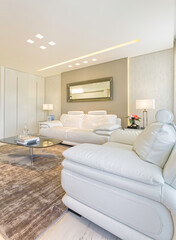 Fototapeta na wymiar Living Room With Leather Furniture Шт Luxury Modern Home