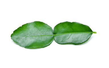 Kaffir lime leaf isolated on white background