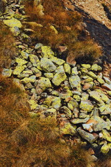 rocks. mountainside. stone and grass texture.