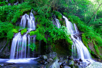 Naklejka premium 滝