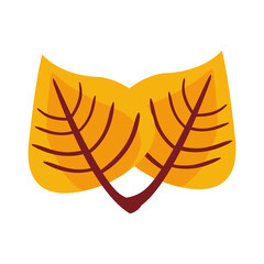 autum ovate leafs flat style icon