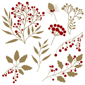 recommend clip art: Set of red forest berry with herbs and plants
