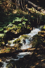 Fototapeta premium view of the river in the mountains.