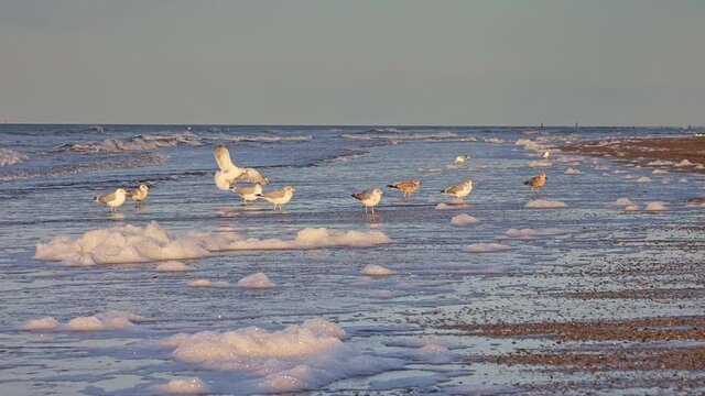 Norderney, die Ostfriesische Insel, Sonne, Strand und Meer.
