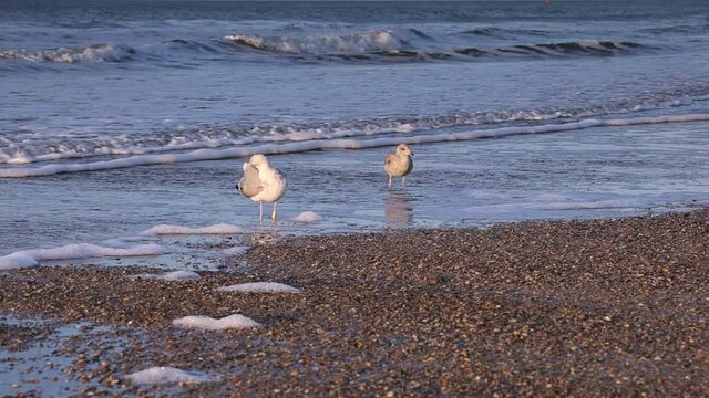 Norderney, die Ostfriesische Insel, Sonne, Strand und Meer.