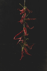 Dried red hot chili peppers isolated on the dark background.
