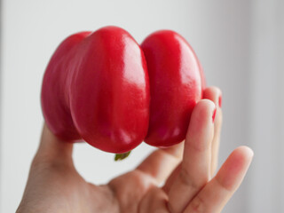 Red bell pepper holding by hand.