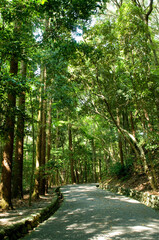 伊勢神宮別宮　月讀宮　