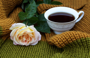 A Cup of hot tea with a yellow rose on a knitted sweater, side view, close - up-the concept of a cozy tea party on cold autumn days