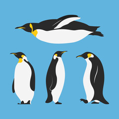 group of penguins birds characters - obrazy, fototapety, plakaty