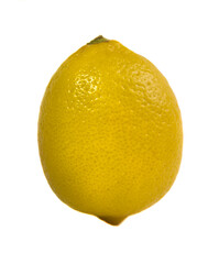 lemon close up on isolated white background
