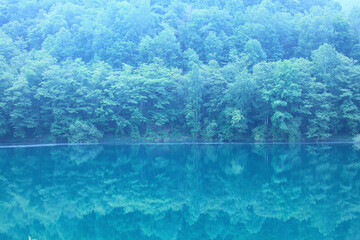 Fototapeta na wymiar 新緑の湖