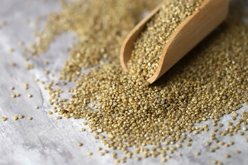 Selective focus. Macro. Quinoa seeds in a wooden spatula.