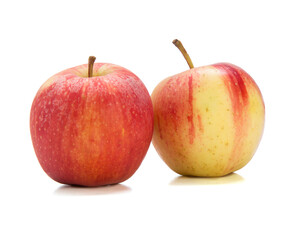 Delicious red and yellow apple