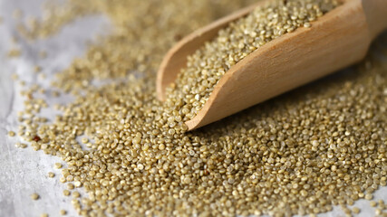 Selective focus. Macro. Quinoa seeds in a wooden spatula.