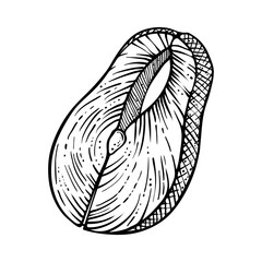 Fish steak, hand drawn vector