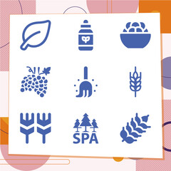 Simple set of 9 icons related to grains