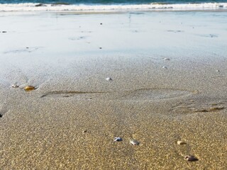 Footprint on the sand and the ocean shore in the distance