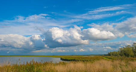 Dark, gray and white rain clouds and a blue sky over a windy rainy city in bright sunlight in autumn, Almere, Flevoland, The Netherlands, October 9, 2020