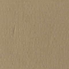 Close up of a light brown vintage rough sheet of carton. Cardboard paper texture with a blank background. Empty papercraft surface. Recycled environmentally friendly material.