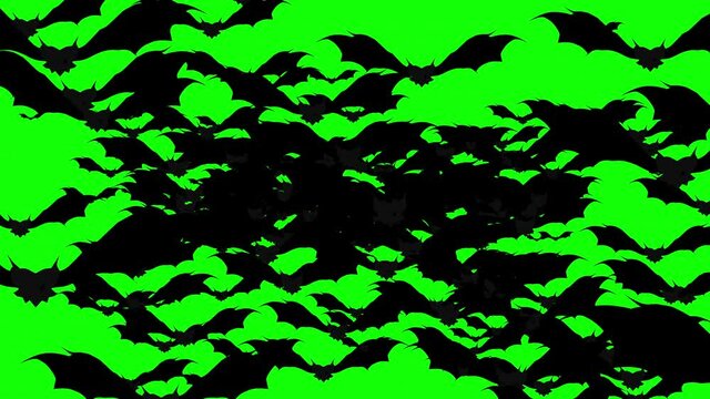 A swarm of Halloween bats flying and filling the green screen. 
