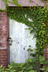 レンガ造りの建物の古い鉄のドア