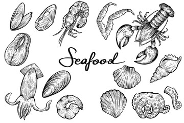 Seafood set, hand drawn vector