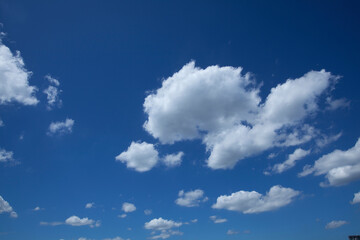 Naklejka na ściany i meble 夏の青空にポッカリ浮いた白い雲