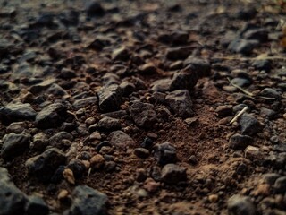 soil