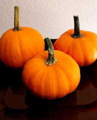 pumpkin and pumpkins